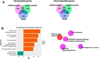 SOCS3 is Related to Cell Proliferation in Neuronal Tissue: An Integrated Analysis of Bioinformatics and Experiments